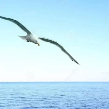 уютный домик 133 причал. オデッサ