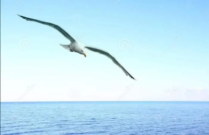 уютный домик 133 причал. Odessza